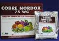 تولید و فروش نوردوکس nordox