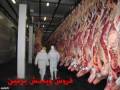 فروش گوشت گوساله منجمد برزیلی