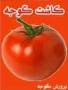آموزش کامل و عملی کاشت گوجه فرنگی