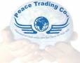 شرکت صلح کره جنوبی