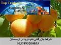 صادرات زردآلو و سیب درختی ارمنستان