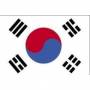 ارائه کلیه خدمات بازرگانی در کره جنوبی