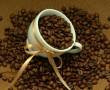 پخش عمده انواع قهوه
