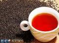 صادرات وفروش انواع چای ایرانی
