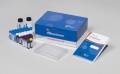 Amersham ECL Kit فروش Select Western blotting detection reagent کیت ای سی ال با کد RPN2235 از کمپانی GE موجود