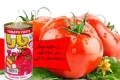 رب گوجه فرنگی جهت صادرات