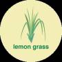 علف لیمو lemon grass