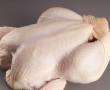 پخش گوشت، مرغ منجمد به مابپیوندید