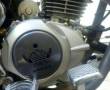 موتور تریل150ولگا همراه با دزدگیر