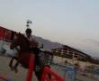 اسب نریون ترکمن ۴ ساله پرشی