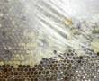 پخش عسل طبیعی منطقه چالدران