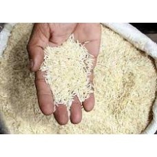 فروش عمده و به قیمت برنج های هندی