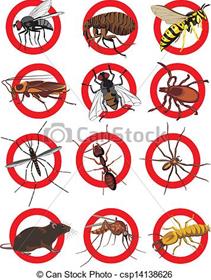 کنترل تخصصی انواع حشرات