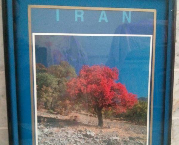 * فروش تابلو طبیعت ایران *