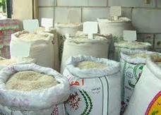 انواع برنج مرغوب گیلان با کیفیت عالی و قیمت رقابتی
