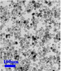 نانو اکسید مس فروش واردات Nano Copper Oxide