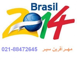 تور برزیل ویژه جام جهانی 2014