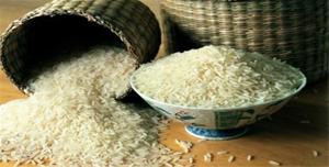 ایتا برنج گیلان