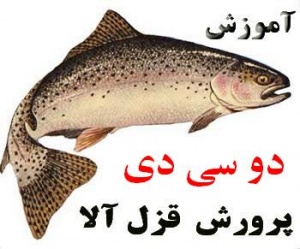 پکیج طلایی آموزش پرورش ماهی قزل آلا و آزاد - کامل ترین مجموعه آموزشی در ایران