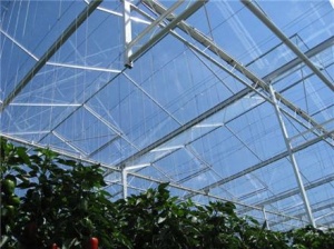 احداث گلخانه-گلخانه شیشه ای-گلخانه پلاستیکی-پایه مادری رز-نماینده انحصاری شرکت های بزرگ تولید کننده محصولات گلخانه ای از جمله OLSTHOORN گلخانه شیشه ای