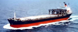 خدمات کشتیرانی و حمل ونقل بین المللی رهگشایانMM