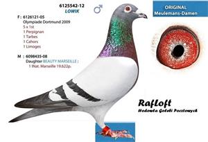 فروش کبوترپلاکی اصیل وساخت پلاک کبوتر