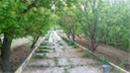 3800 متر باغ ویلای بسیار زیبا سند ششدانگ کد:412