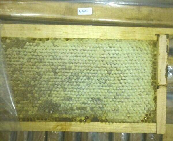 عسل طبیعی سبلان (سرعین)