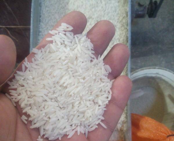 فروش برنج ارگانیک هاشمی.تالش
