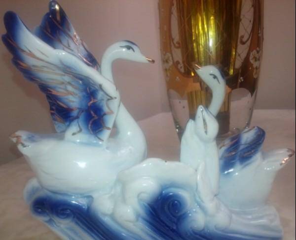 اردک تزئینی