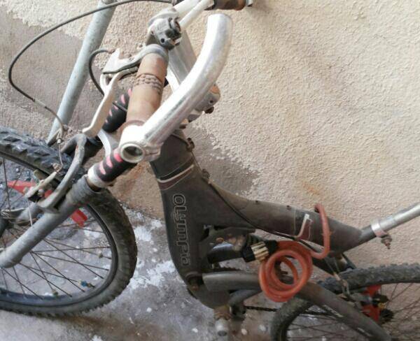 دوچرخه سالم بوشهر