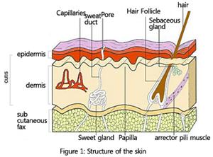 کارگاه های آموزشی مراقبت پوست و مو