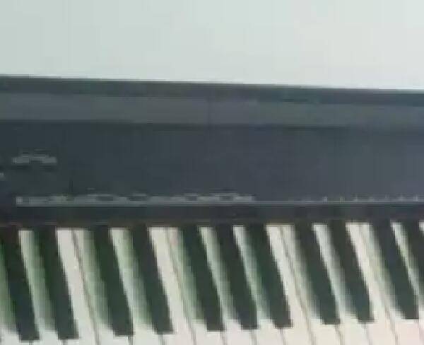 دیجیتال پیانو یاماها Np30