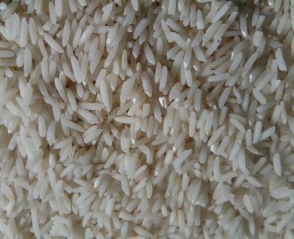 فروش برنج درجه یک هاشمی