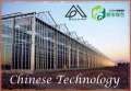 گلخانه مکانیزه شیشه ای طرح Dushi چین