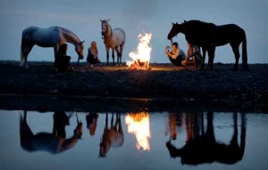 اجرای تور اسب سواری و سوارکاری در جنگل ابر
