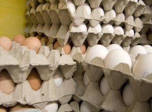 خط تولید شانه تخم مرغ آماده تحویل