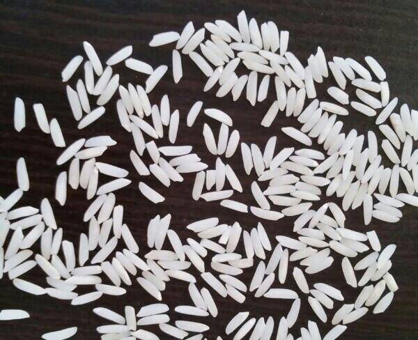 فروش برنج با کیفیت ایرانی طارم هاشمی