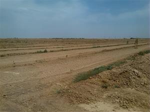 فروش زمین کشاورزی 110 هکتاری واقع در بویین زهرا