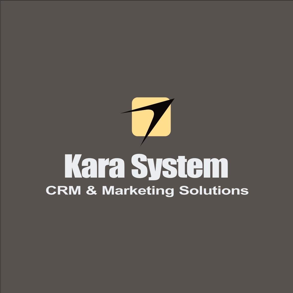 مشاوره بازاريابي و فروش، عيب يابي سيستم و بهينه سازي روندهاي تجاري، در بستر Microsoft CRM توسط شرکت کارا سيستم