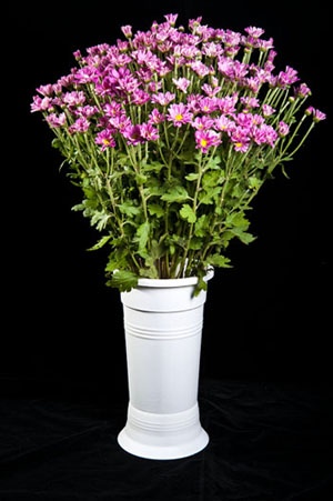 گلدان پلاستیکی تزئینی- شرکت گلپونه