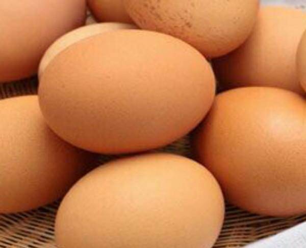 نیازمند ۳۰۰ تخم نطفه دار محلی