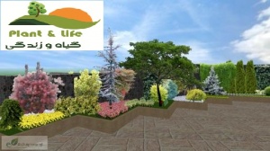 کلینیک تخصصی باغ بام و دیوار سبز درمشهد(گیاه و زندگی)