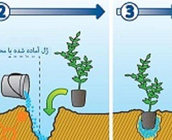 کاهش دهنده مصرف آب -کشاورزی