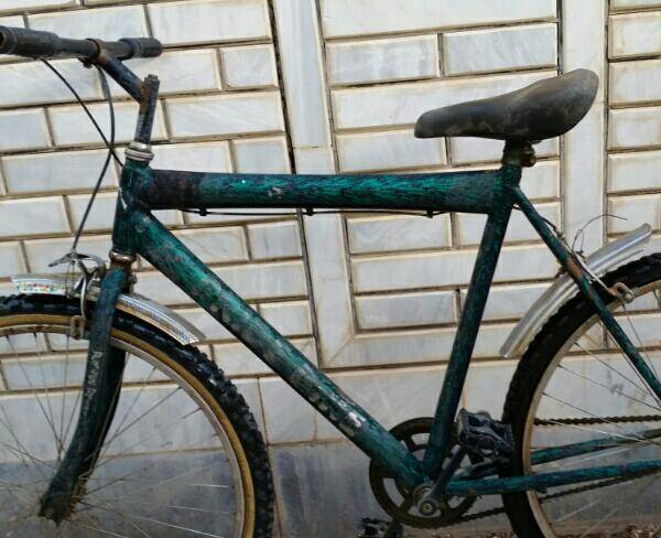 دوچرخه سبز