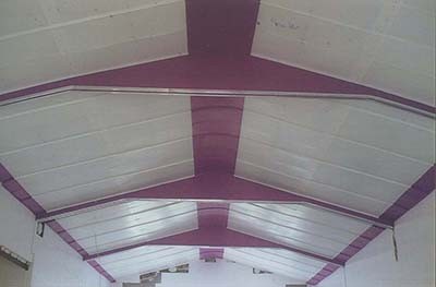 کارتن پلاست برای پوشش سقف سوله
