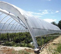 اولین تولیدکننده پوشش گلخانه ای تا عرض 14 متر در خاورمیانه