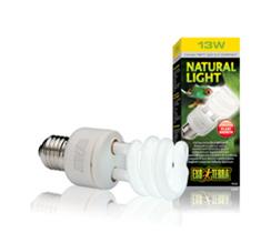 NATURAL LIGHT-نور طبیعی