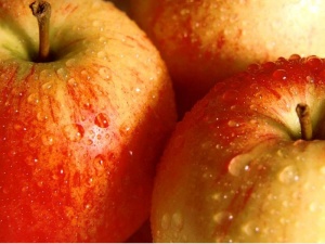 تولید، فروش و صادرات پوره سیب با کیفیت عالی