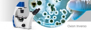 میکروسکوپ اینورت فازکنتراست inverted phase contrast microscope